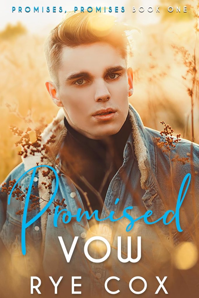 Promised Vow: A Fake Fiancés MM Romance (Promises, Promises Book&nbsp;1)
